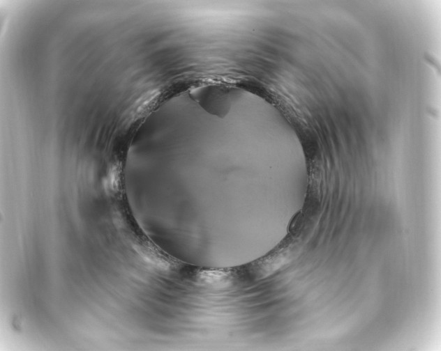 X0000093740139200710301112