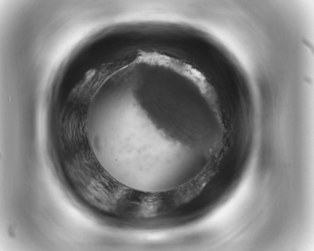 X0000093740143200710301112