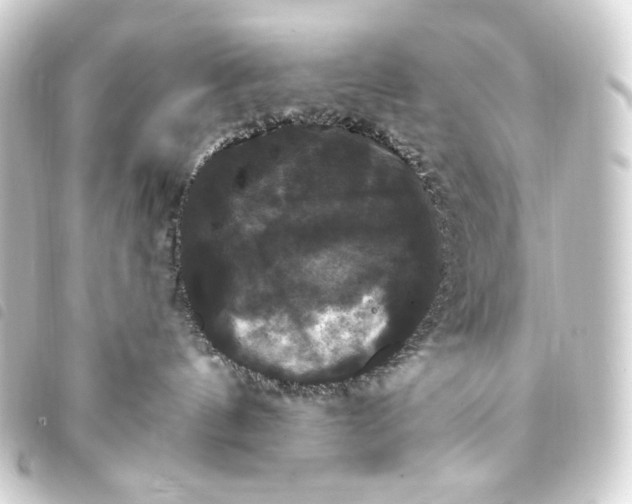 X0000093740144200710301112