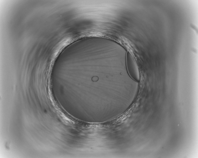 X0000093740145200710301111