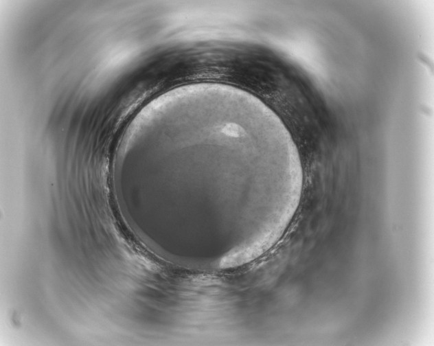 X0000093740146200710301111