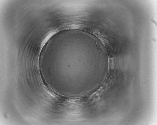 X0000093740147200710301111