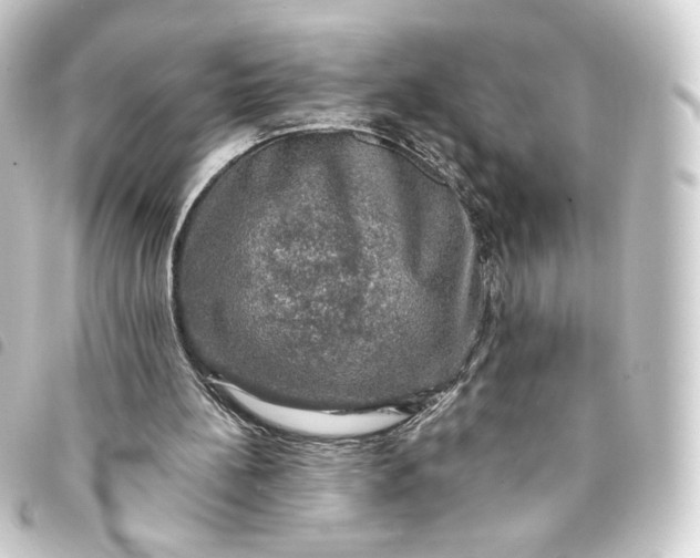 X0000093740148200710301111