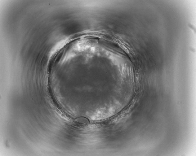 X0000093740149200710301111