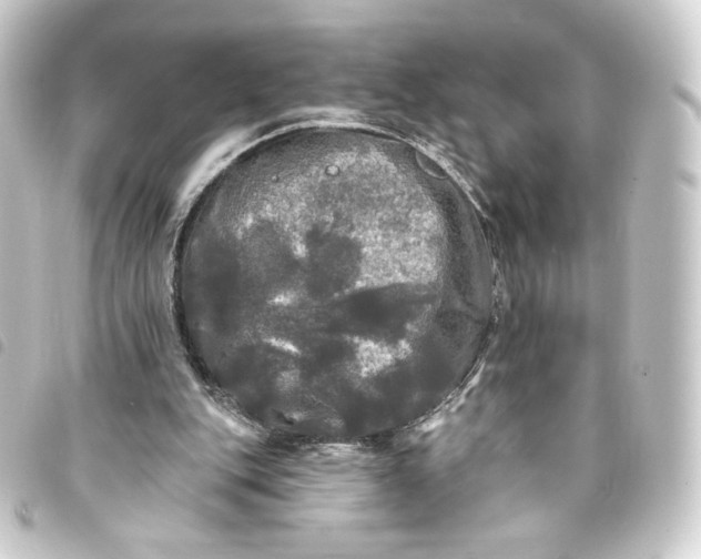 X0000093740151200710301112