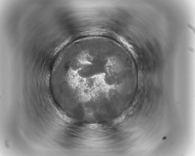 X0000093740153200710301112