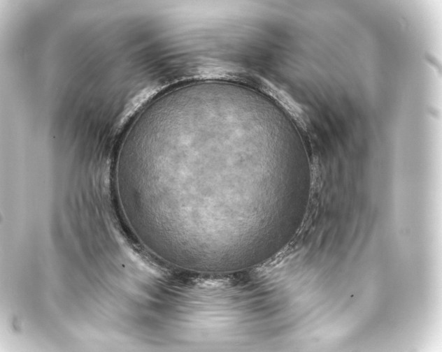 X0000093740155200710301112