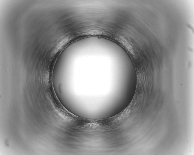 X0000093740159200710301112