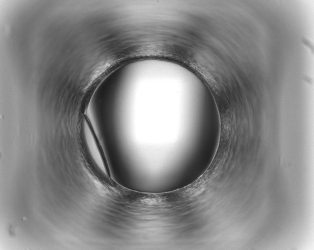 X0000093740160200710301112