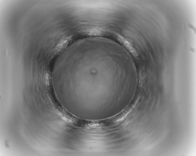 X0000093740161200710301112