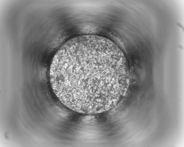 X0000093740162200710301112