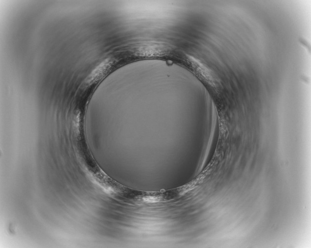 X0000093740163200710301112