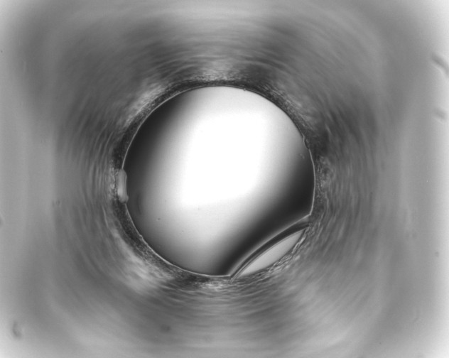 X0000093740164200710301112