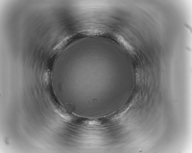 X0000093740165200710301112