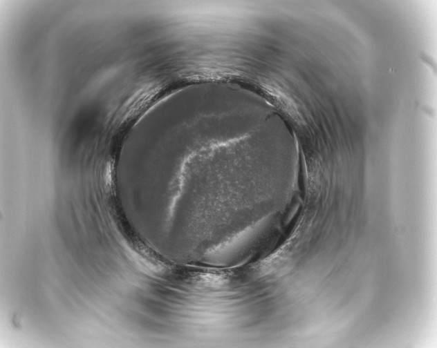 X0000093740166200710301112