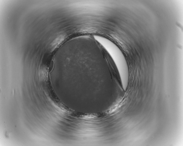 X0000093740168200710301112