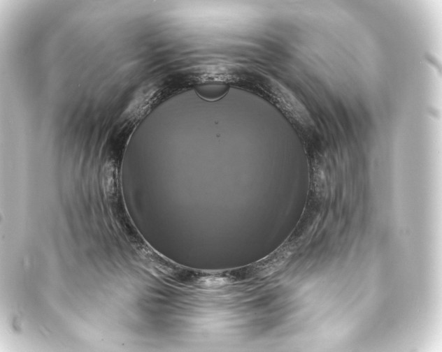 X0000093740169200710301112