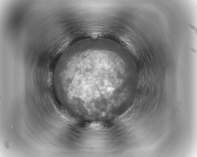 X0000093740171200710301112