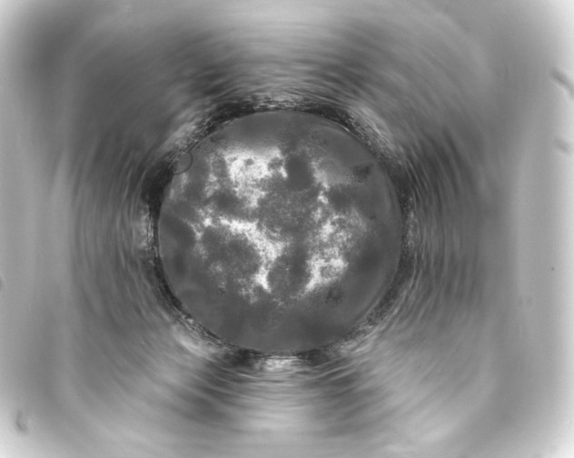 X0000093740173200710301112