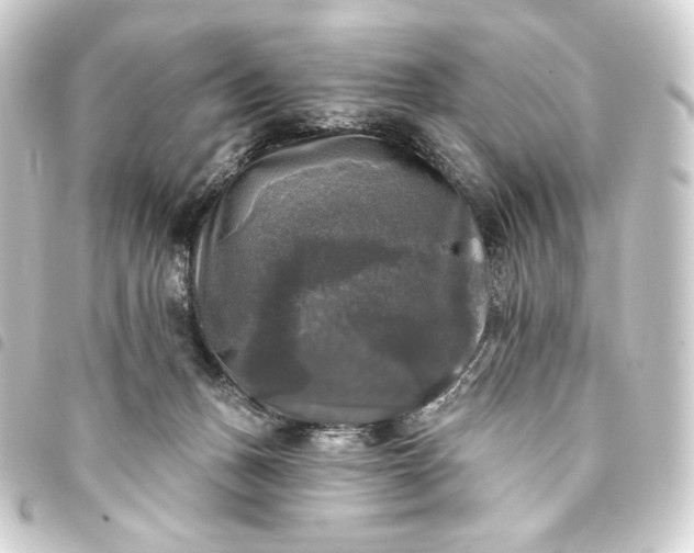 X0000093740175200710301112