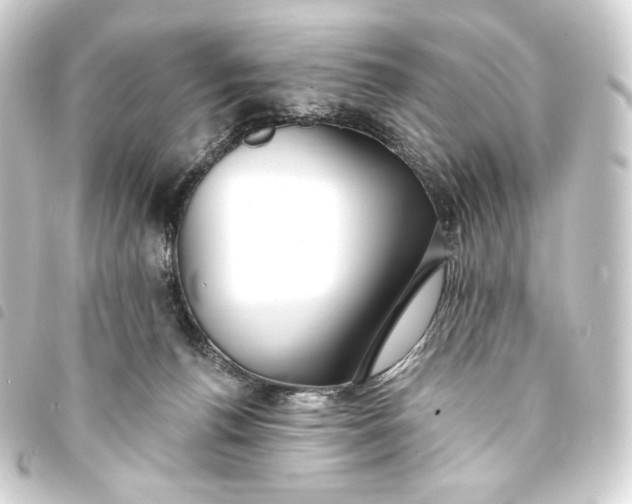 X0000093740176200710301112