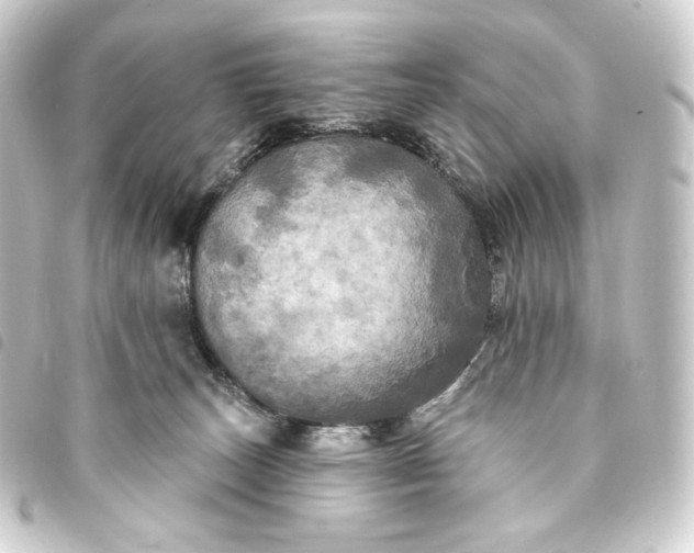 X0000093740179200710301112