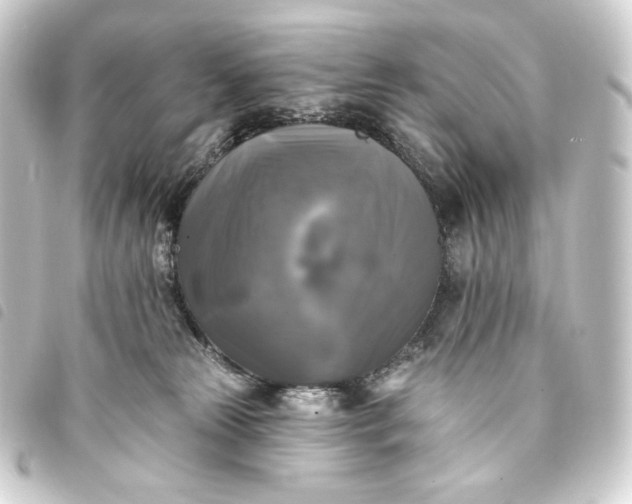 X0000093740181200710301112