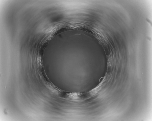 X0000093740182200710301112