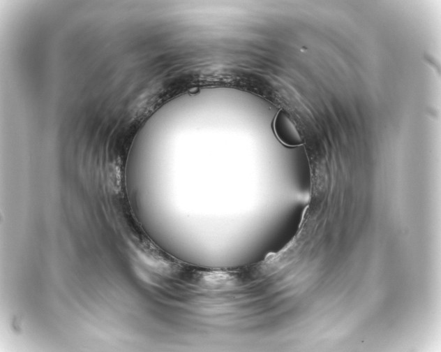 X0000093740183200710301112