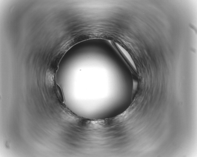 X0000093740188200710301112