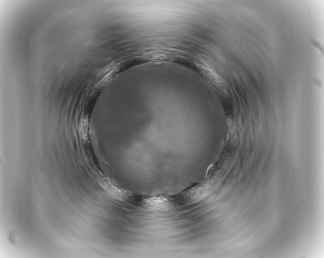 X0000093740189200710301112