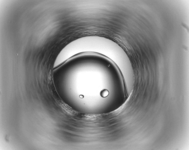 X0000093740190200710301112