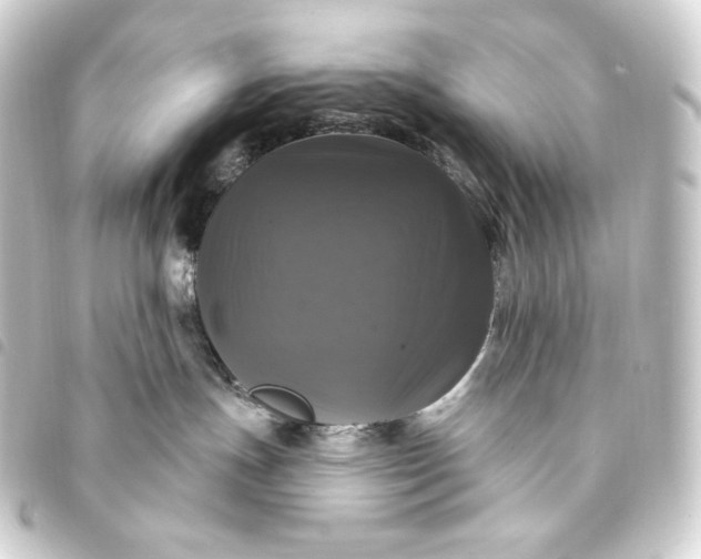 X0000093740191200710301112