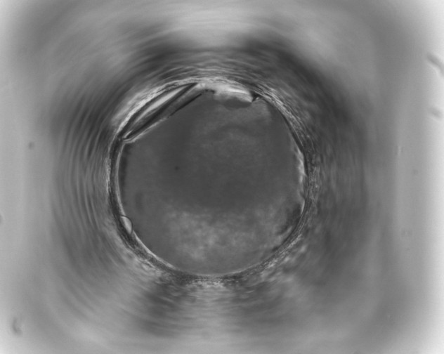 X0000093740194200710301111