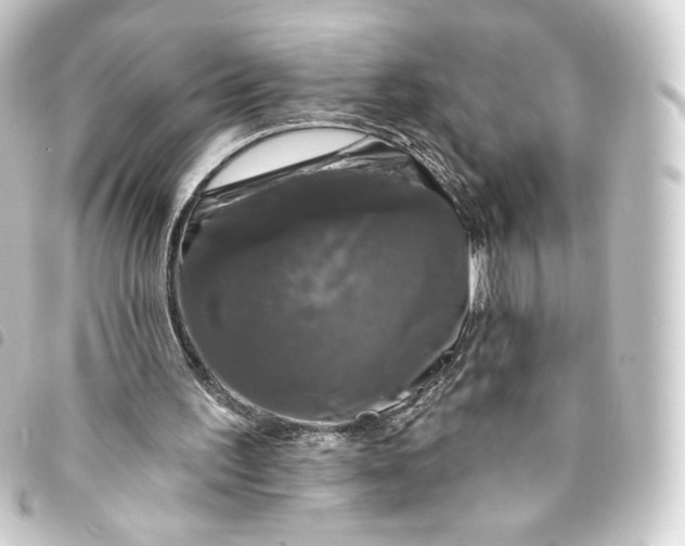 X0000093740195200710301111