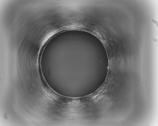 X0000093740196200710301111