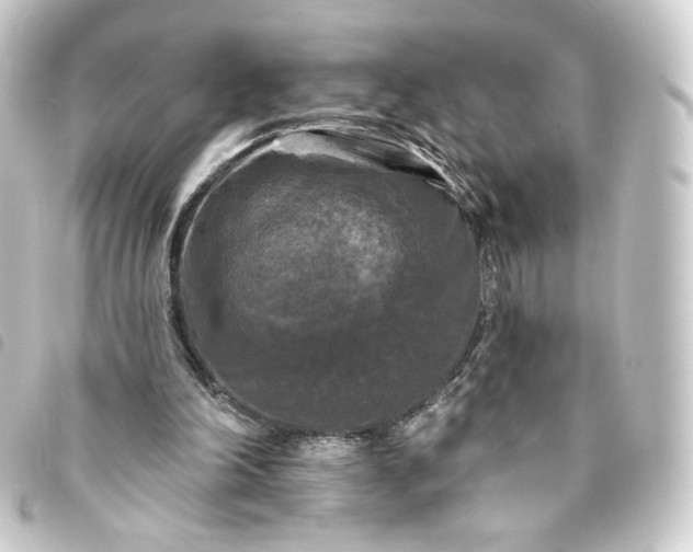 X0000093740198200710301111