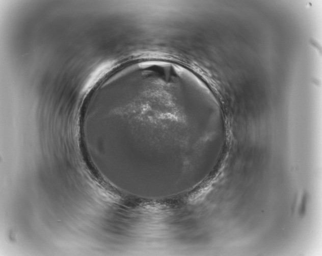 X0000093740199200710301111