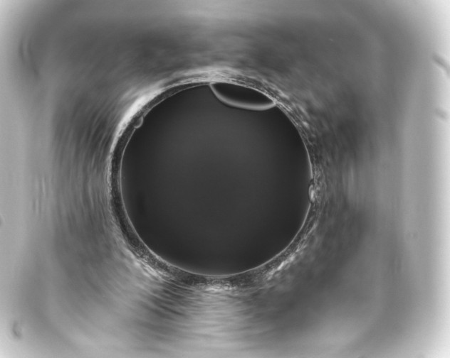 X0000093740200200710301111