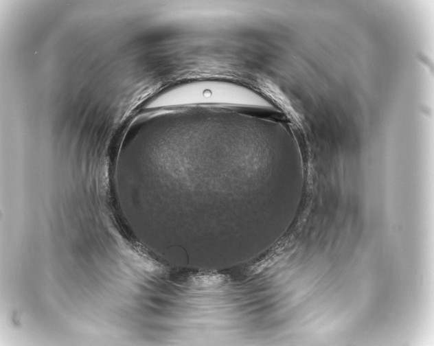 X0000093740202200710301111