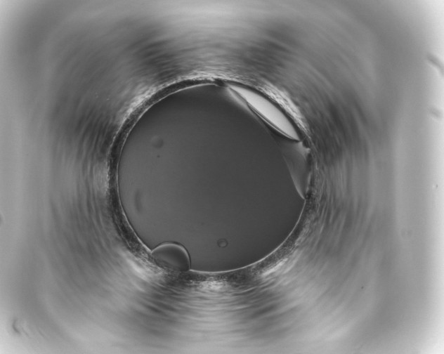 X0000093740204200710301111