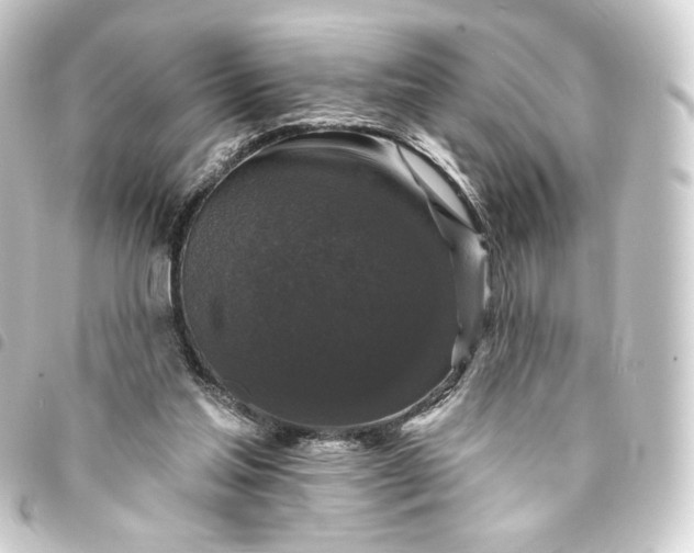 X0000093740205200710301111