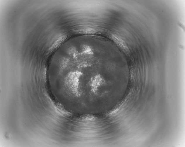 X0000093740206200710301111