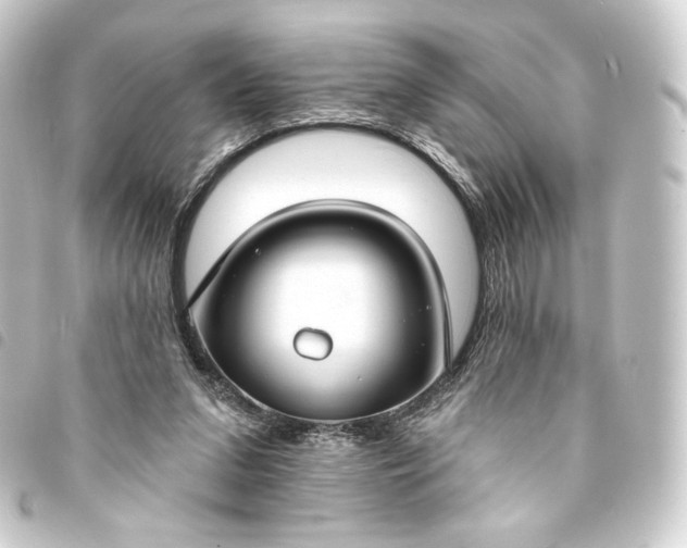 X0000093740207200710301111