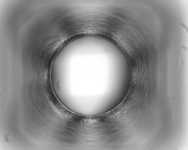 X0000093740208200710301111