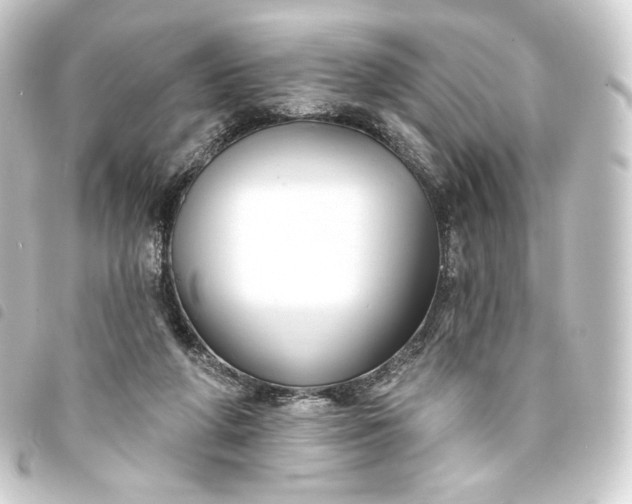 X0000093740210200710301111