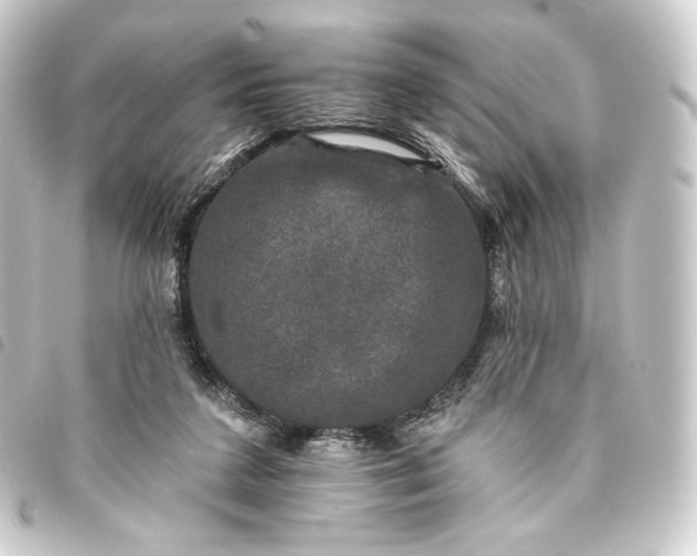 X0000093740211200710301111