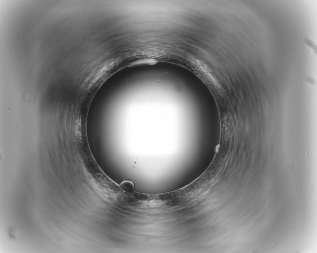 X0000093740212200710301111