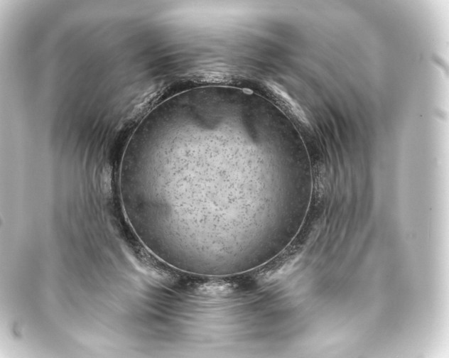 X0000093740213200710301111