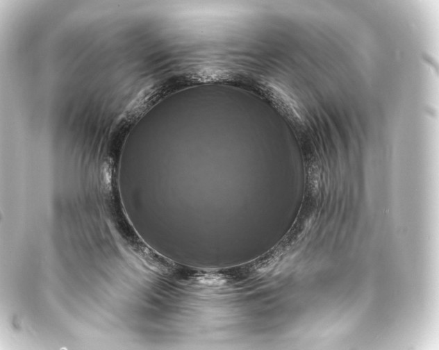 X0000093740214200710301111